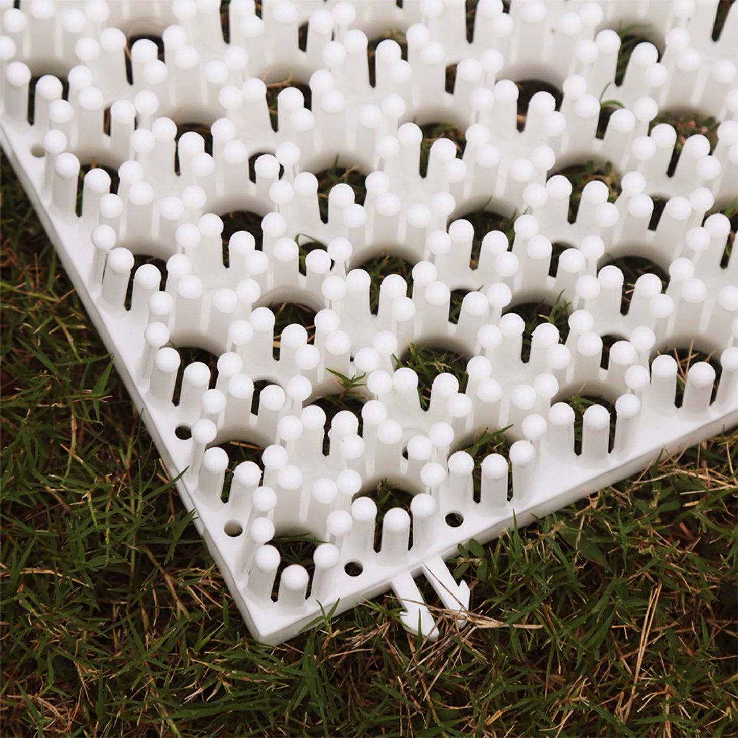 All-Season Snowboard Training Mat – Shred Anywhere - Butterslopes Buttter Pad