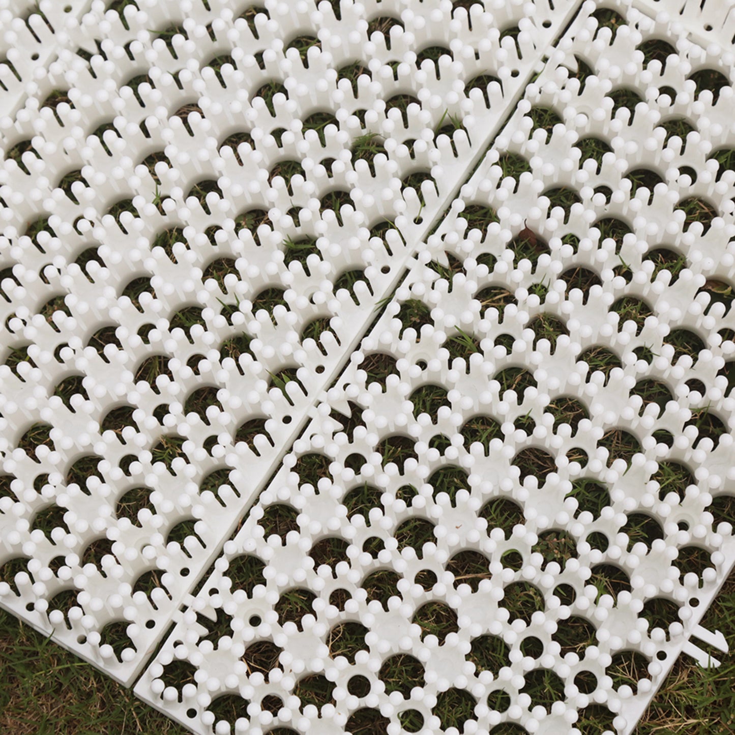 All-Season Snowboard Training Mat – Shred Anywhere - Butterslopes Buttter Pad