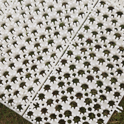 All-Season Snowboard Training Mat – Shred Anywhere - Butterslopes Buttter Pad